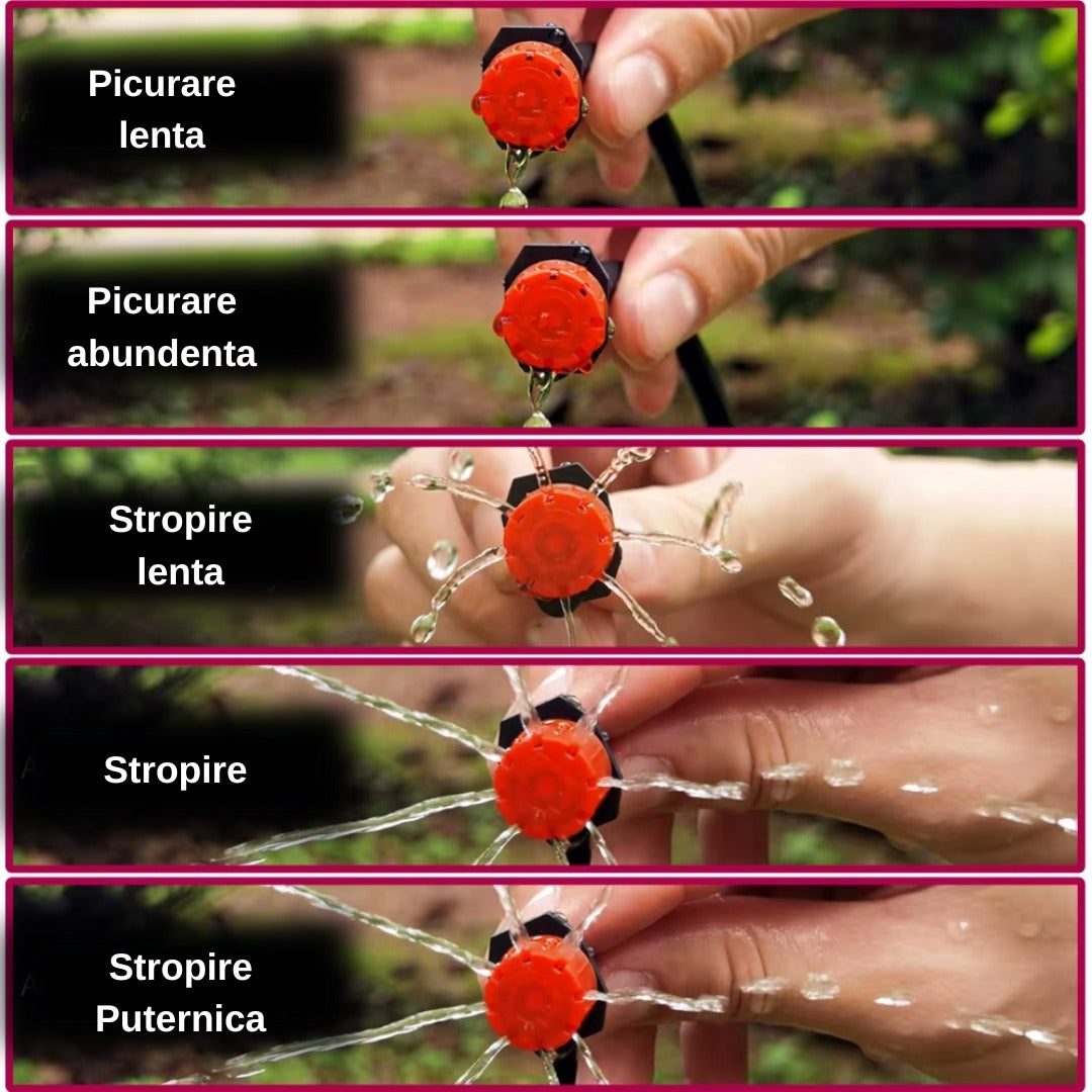 ccb82812-f784-4a6a-9d54-2a1ccbec69eb