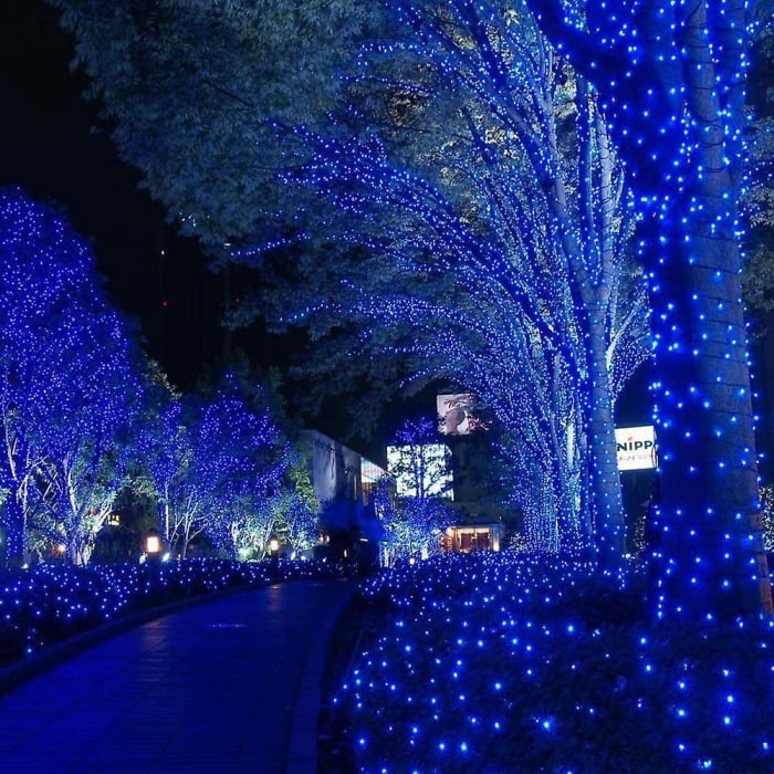 Lichidare de stoc: Decoratiune Solara pentru Exterior IP44, 1000 led-uri, 100m, liniara - Albastru