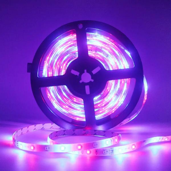 98033116-00a3-4f0c-b8e0-8469d6770af3_1