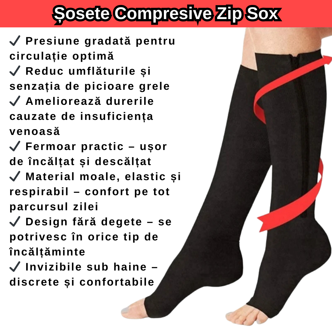 2e68e0aa-ffc0-4c50-a3d3-bac86f5c0ef2_1