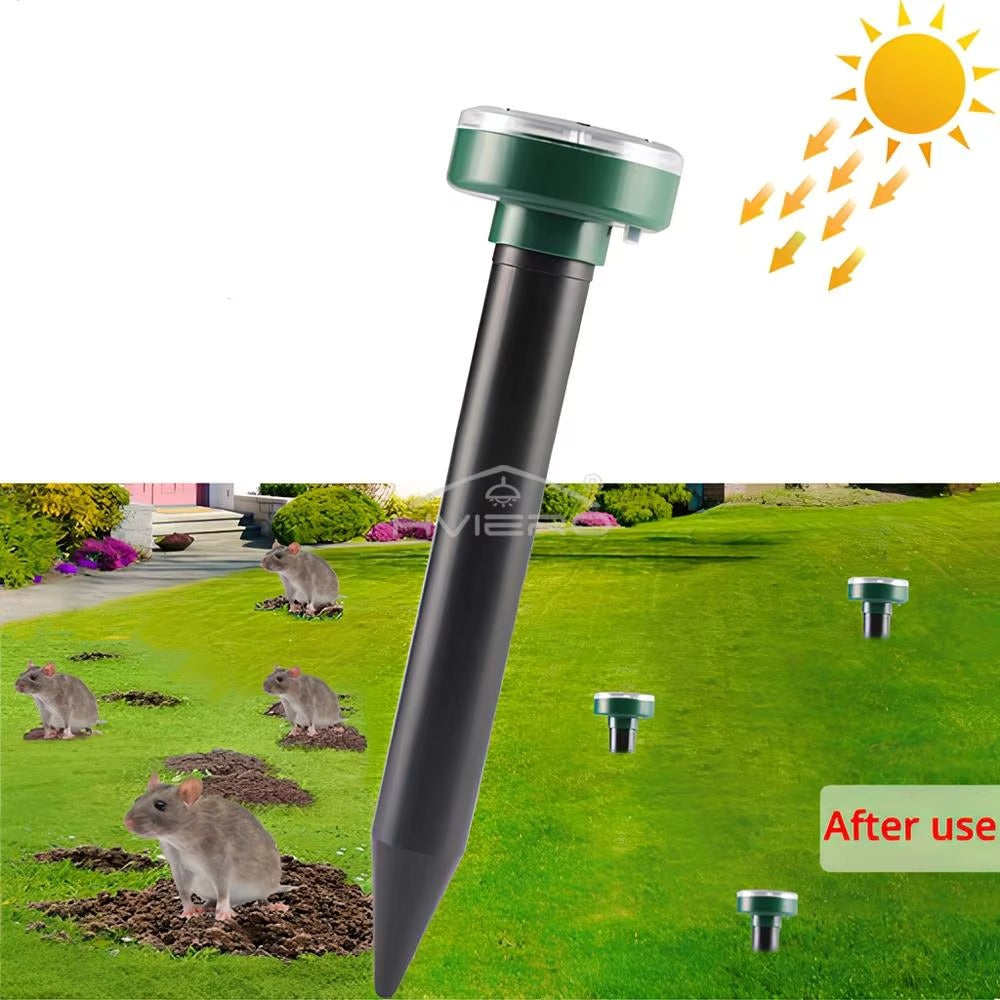 a50b4a33-2952-4024-a521-4f05acf5a45b_2