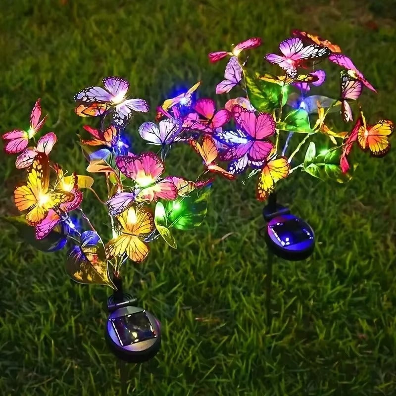 3705-19823.jpg