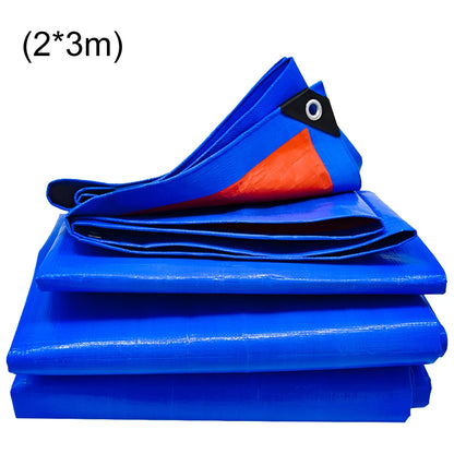 3851-20890.jpg